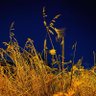Фото профиля neilchambers