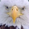 Joansfl1's profile picture