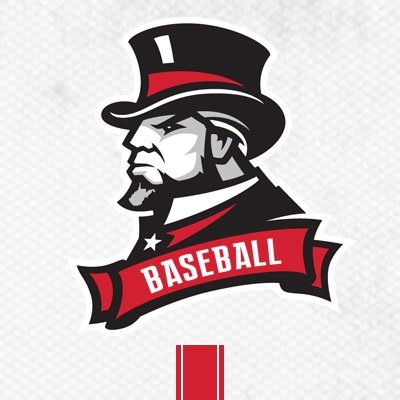 Davis & Elkins Baseball's profile picture