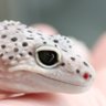 Co.keimaru profil fotoğrafı