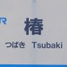 tsubakit.com/椿ティドットコム's profile picture