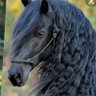 Profilbild von سبحه