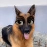 jake sully's profile picture