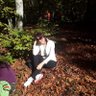 Gönül's profile picture