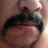 perro Callejero's profile picture