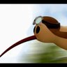 egykiwi profil fotoğrafı