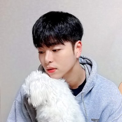 다즐링's profile picture