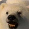 ぽん's profile picture