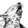 SnarkyPup 的头像