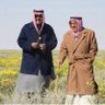n. alsaeed's profile picture