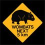Profilbild von The Wombat