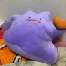 メタモン可愛いよね(*^ω^*) 的头像