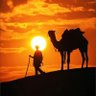 عــلــي's profile picture