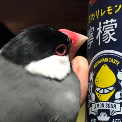 starry_sky_222's profile picture