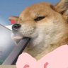 Profilbild von Bruhnnies