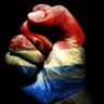 Emilio Escobar G.'s profile picture