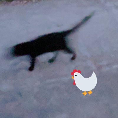 gomeal172's profile picture
