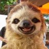 ElectricSeals's profile picture