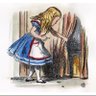 Katrin ๐ป's profile picture