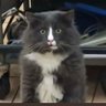 Фото профиля Chat1g3r 🇷🇺