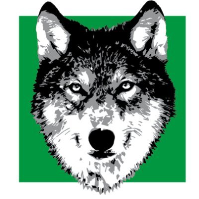 FinanceWolves's profile picture