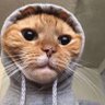 ....'s profile picture