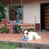 Фото профиля Carlos A Duque