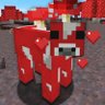Profilbild von Mooshroom