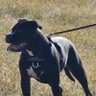 IMVM's profile picture