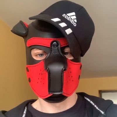 JackLoganFox's profile picture