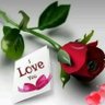 ابحث عن الحب's profile picture