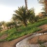 Фото профиля الذهبي