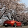 カーズ3504🏎️💨💨 的头像
