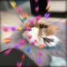 kfc123456789's profile picture