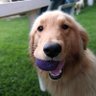 Gonza profil fotoğrafı