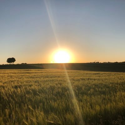 (((Tendar)))'s profile picture