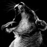 Hello's profile picture
