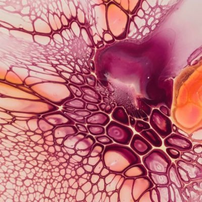AugustinaStudio's profile picture