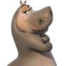 nok profil fotoğrafı