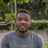 Profilbild von sasa tafara
