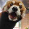 Paul 的头像