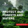 Gamma #StopGalamsey #SaveOurForestsandWaters 的头像