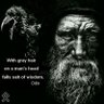 Фото профиля Viking Raiders