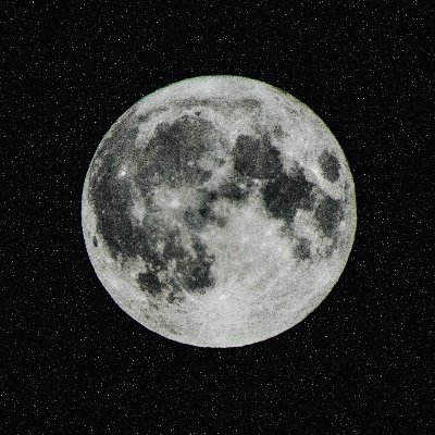 M9nine's profile picture