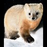 kosai's profile picture