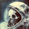 LostInTransaction's profile picture