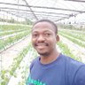 Фото профиля Tunde Olufisayo