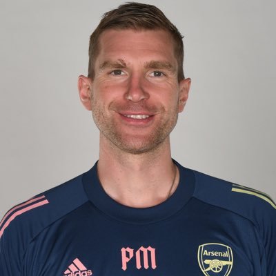 Per Mertesacker's profile picture