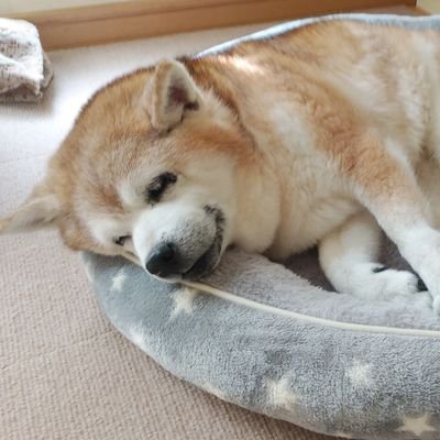 皆口裕子's profile picture