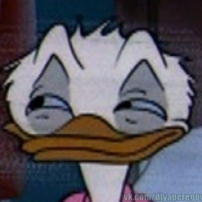 odeyalkoko's profile picture
